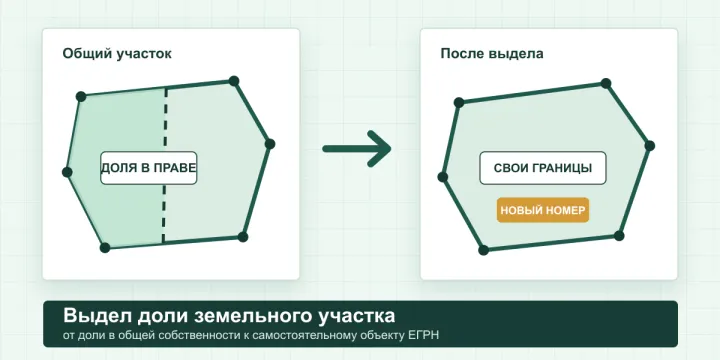 Выдел доли земельного участка в натуре в 2026 году: порядок, межевой план и ЕГРН